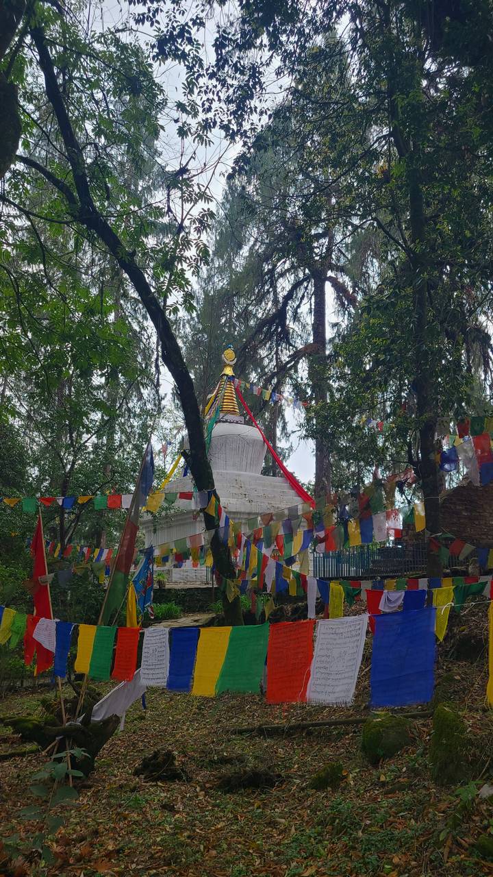 White Buddhist stupa surrounded by colorful prayer flags beneath tall trees