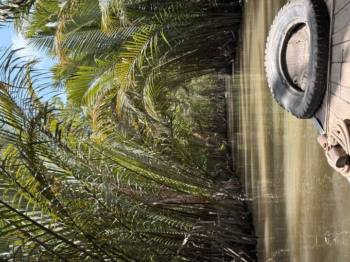 View from a wooden boat drifting through narrow, palm-arched canals of the Mekong Delta.