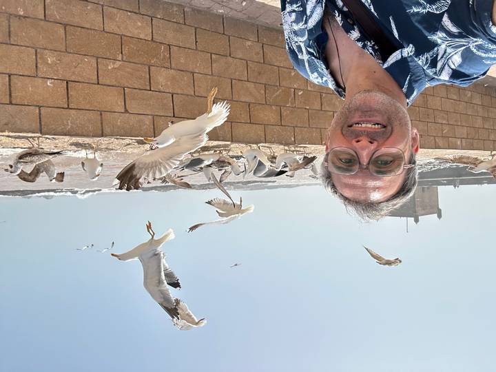Smiling man taking a selfie as seagulls swoop over the seawall at Essaouira’s windy coast.
