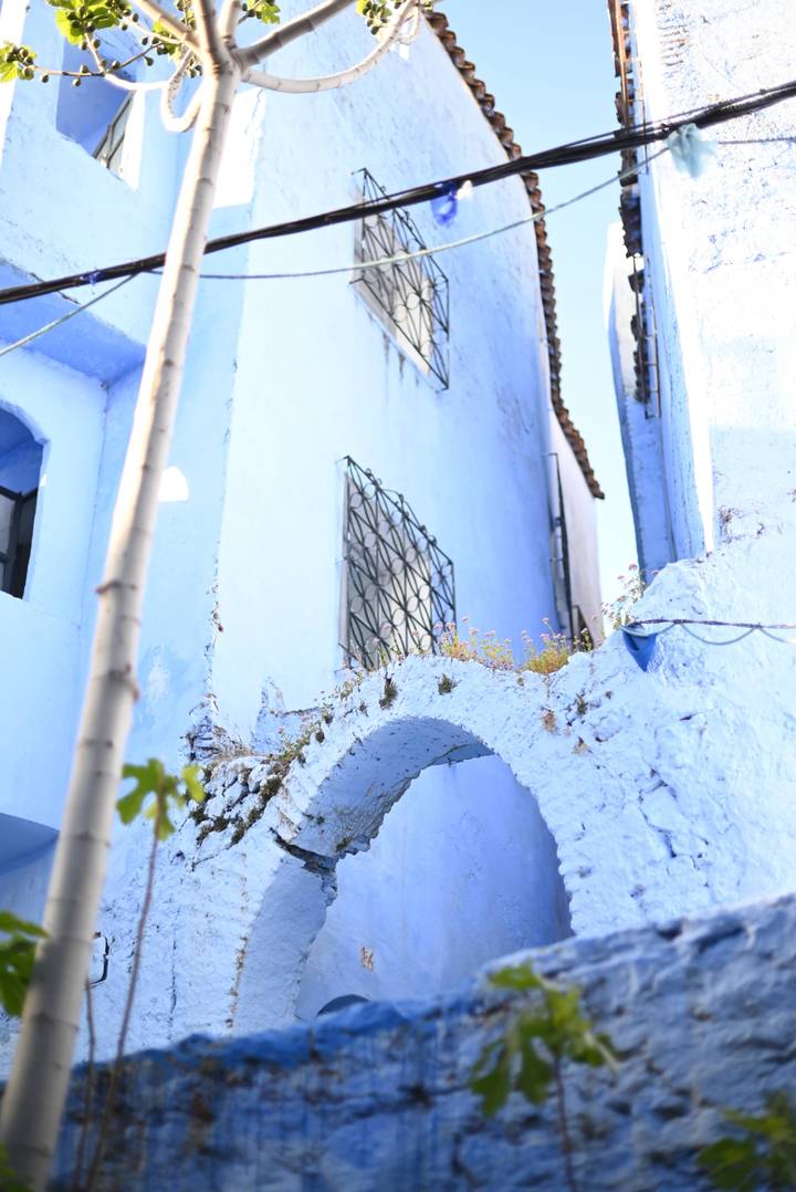 Upward angle of a pale blue building with arched window and small plants growing from the rooftop in Chefchaouen.