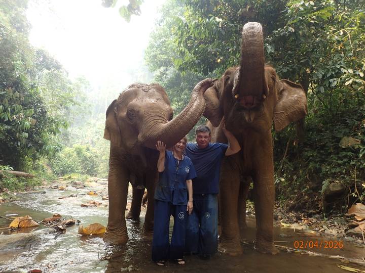 Couple interacting with three bathing elephants in a jungle stream