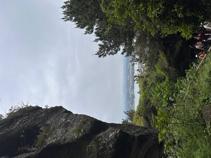 Hikers making their way down a rocky forest trail with distant coastal view under overcast sky.