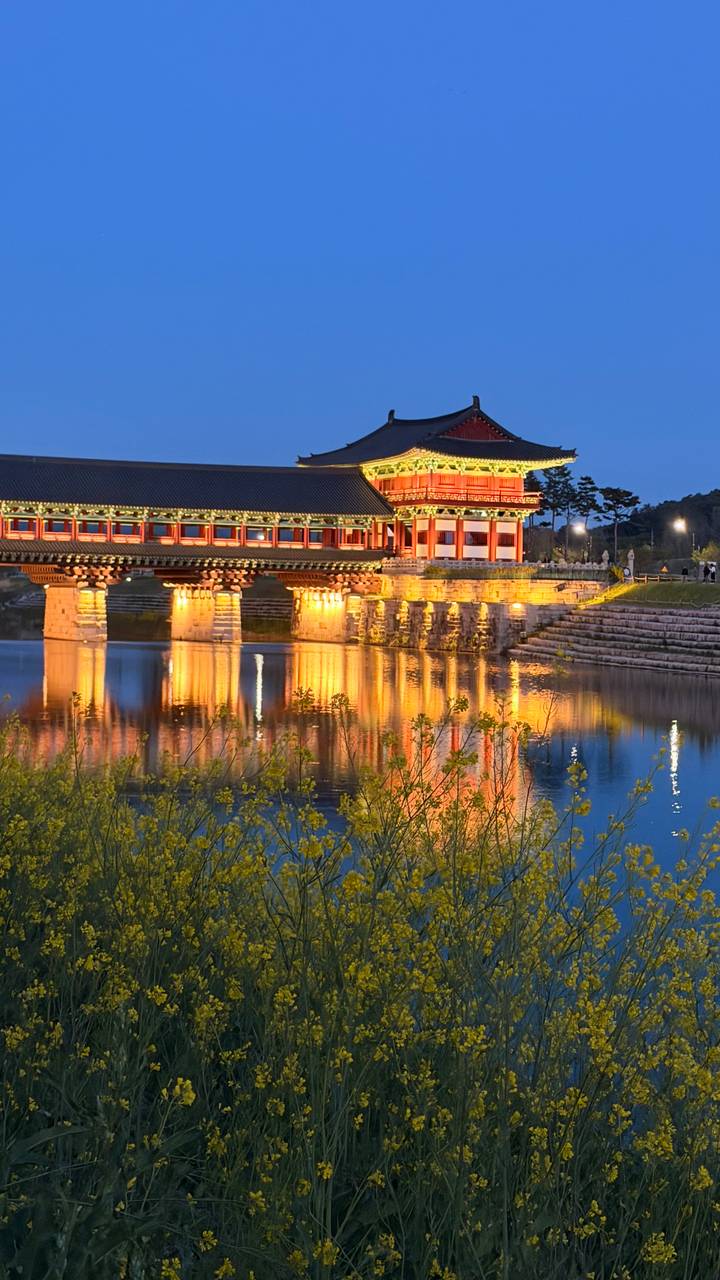 Nighttime reflection of the illuminated Woljeonggyo bridge glowing in warm tones across calm water.