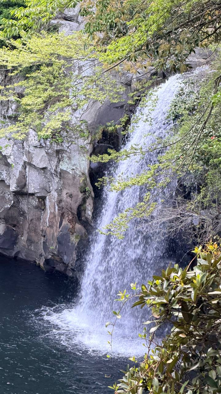 Side view of a waterfall cascading down rugged rock into a shaded canyon framed by green foliage.