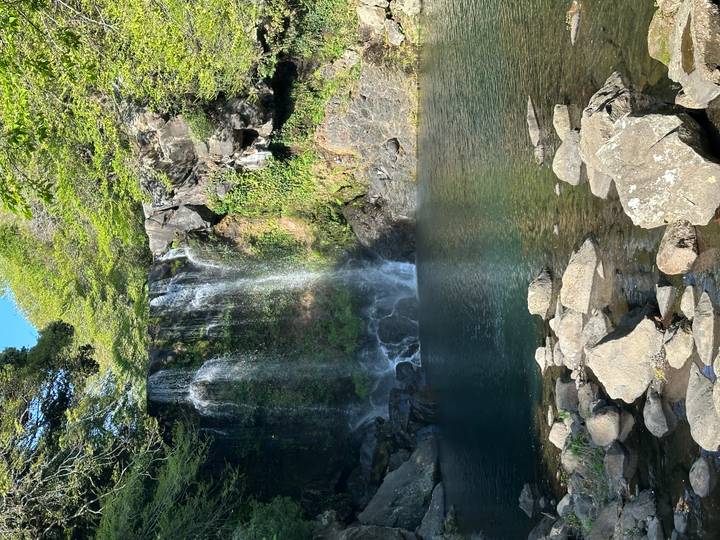 Secluded forest waterfall plunging into a clear blue pool surrounded by mossy rocks.