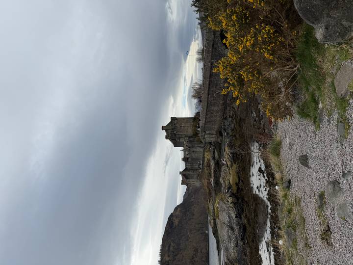 Iconic Eilean Donan Castle on tidal island with gorse bushes in foreground under grey clouds.