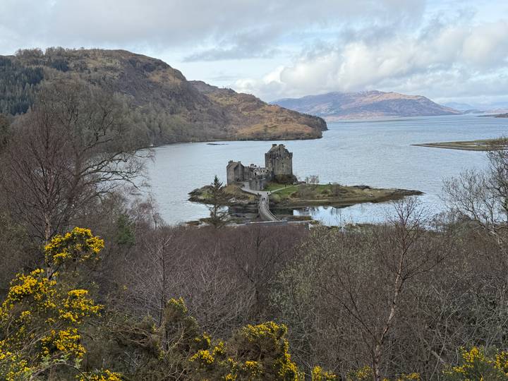 Eilean Donan Castle seen across Loch Duich framed by spring gorse and mountains.