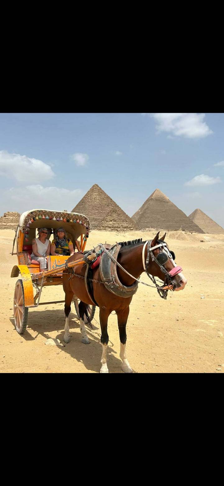 Horse-drawn carriage with tourists passes before the iconic pyramids of Giza.