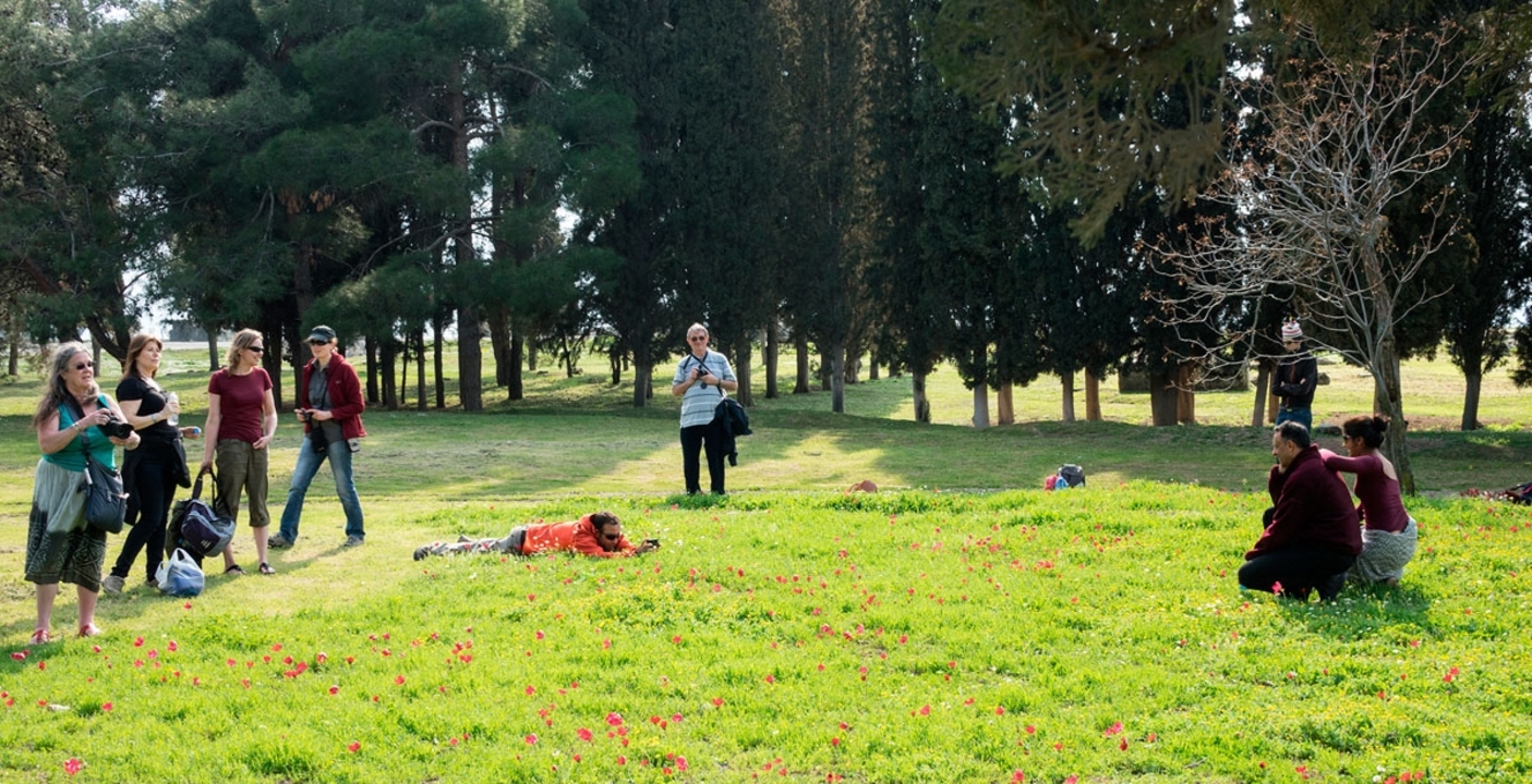 Group of people enjoying a park with greenery and trees.
