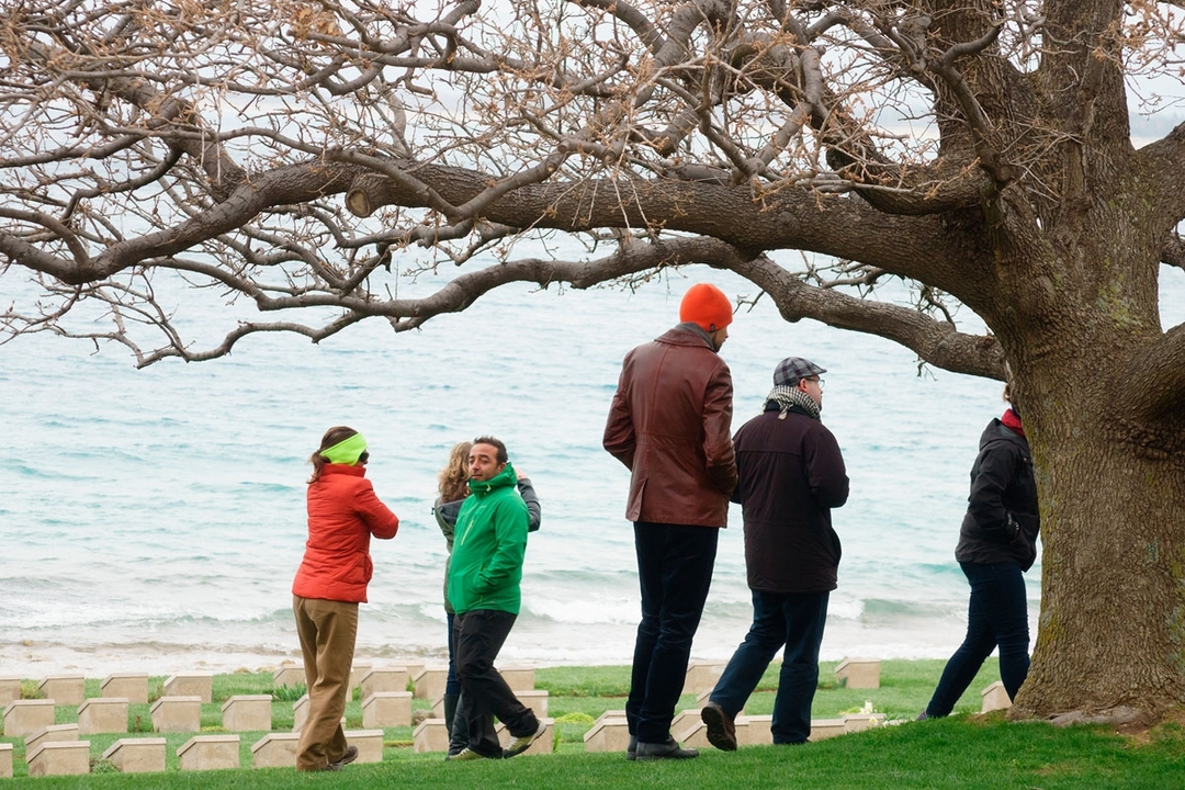 People walking near the beach with a large tree in the foreground.