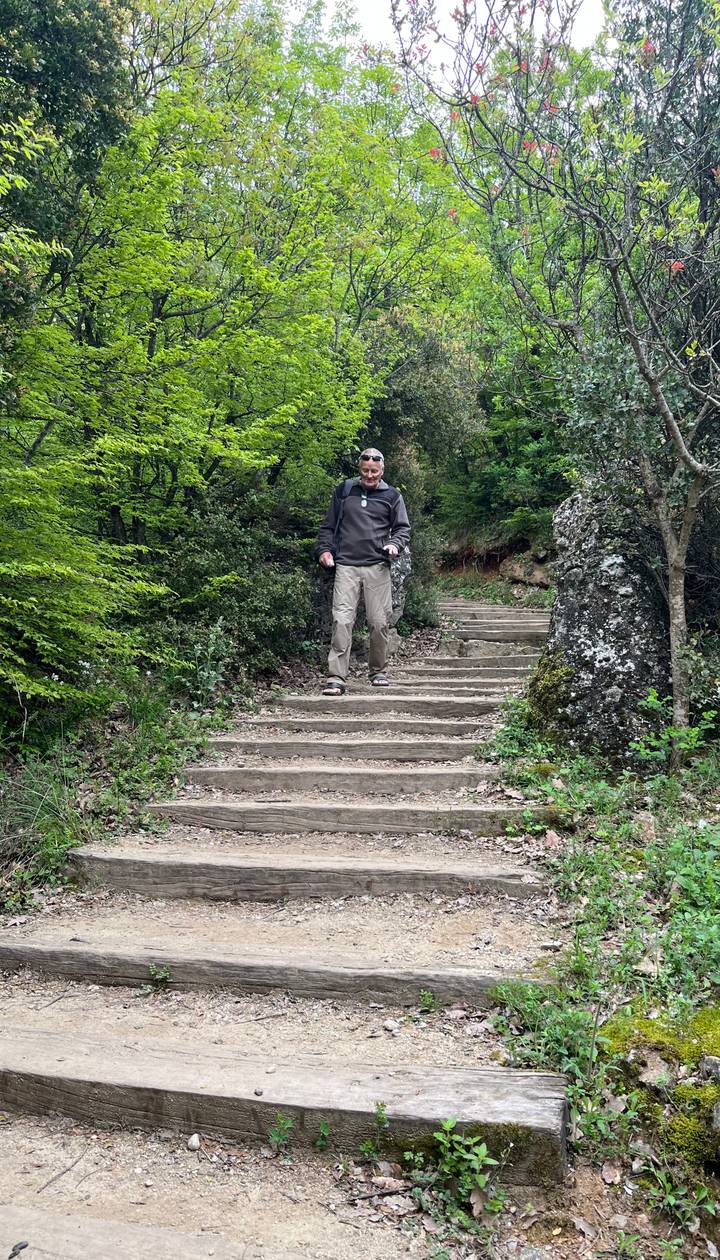 Hiker descends rustic wooden steps through dense green forest near Meteora.