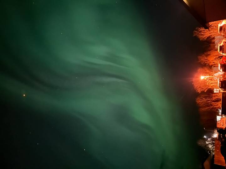 Green aurora borealis dances across a dark night sky above parked cars and leafless trees