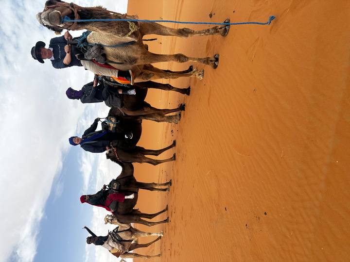 Four travelers in headscarves ride camels in single file across rust-colored desert sands.