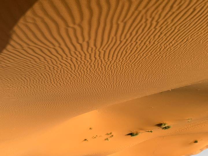 Close-up of wind-carved ripples on a vast orange sand dune.