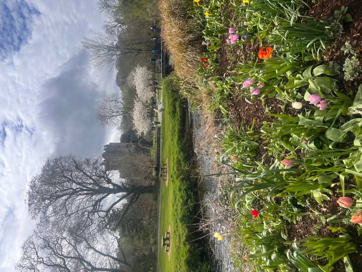 Blooming tulip beds frame distant castle and flowering trees beneath mixed clouds.