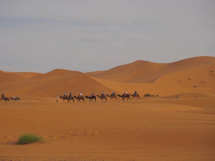 Caravan of camel riders traversing vast orange sand dunes under an expansive sky in the Sahara Desert.