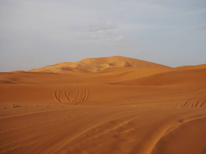 Vast expanse of untouched orange dunes with gentle ripples beneath a pale sky.