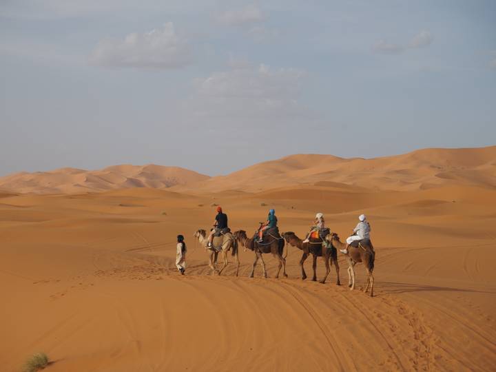 Line of riders on camels traversing the golden dunes of a desert at sunset.