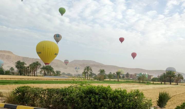 Multiple colourful hot-air balloons drift above green fields, palms and distant sandstone hills under a hazy sky.