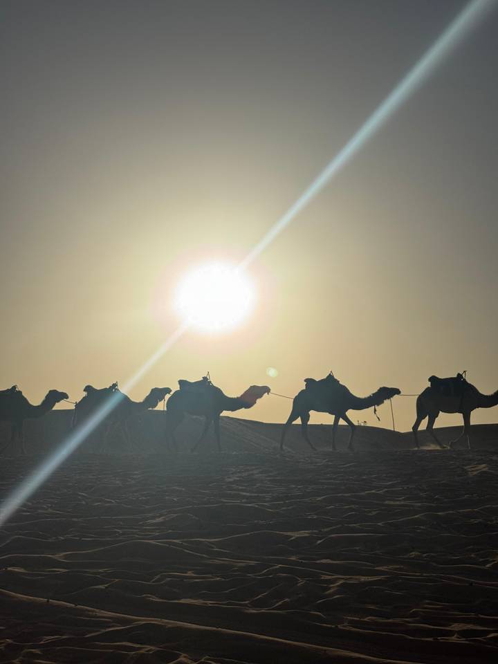 Silhouettes of a camel caravan crossing sun-blasted dunes with intense midday glare.