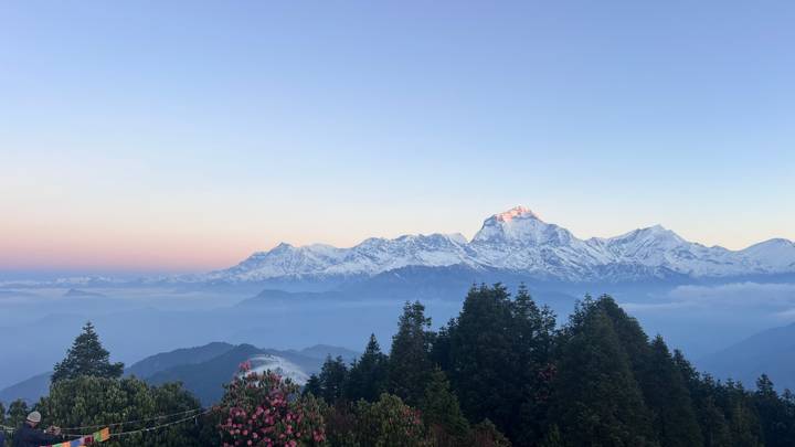 Panoramic dawn view of snow-capped Annapurna range with rhododendrons and misty valleys below.
