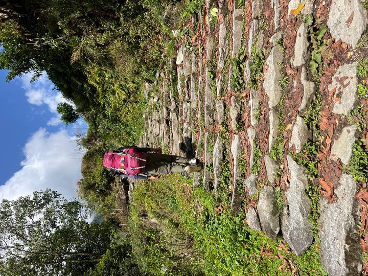 Backpack-laden hiker ascends a stone stair trail surrounded by lush greenery and blue sky.