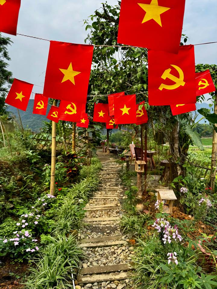 Leafy garden path lined with bright red communist flags winds through a rural Vietnamese village.