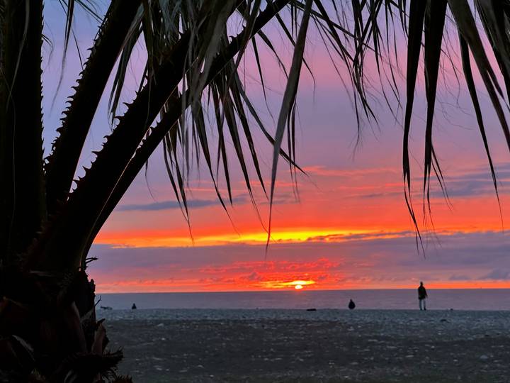 Palm fronds frame a vivid orange and purple sunset over a pebbly beach where a lone person stands at the shoreline.