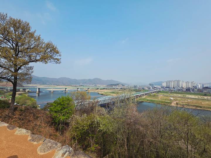 Panoramic view of a cityscape, river and surrounding bridges taken from a wooded hillside lookout.