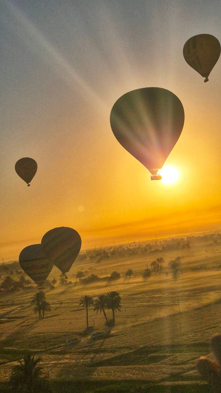 Hot-air balloons drifting across a golden sunrise sky above the Nile Valley landscape.