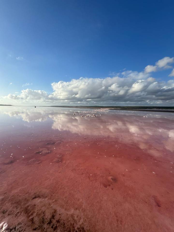 Pink salt lake mirrors dramatic clouds, dotted with salt mounds on the horizon.