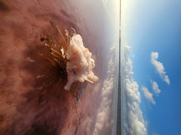 Crystalline salt formation rises from pink lake water beneath a vivid blue sky.