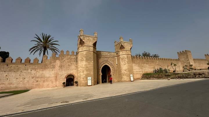 Historic crenellated gate and wall with single palm tree under clear sky