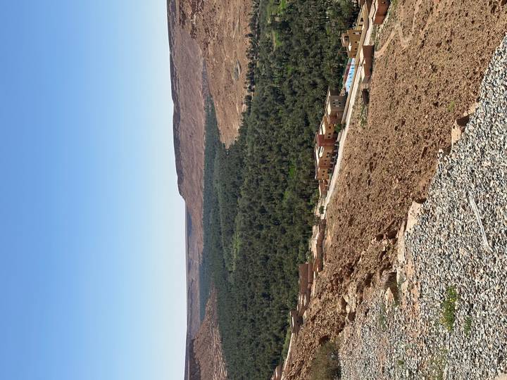 Arid plateau overlooks a lush palm oasis valley and distant mesas