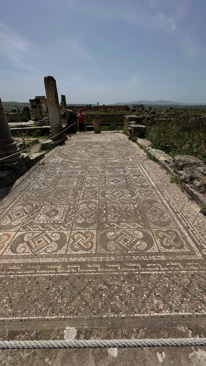 Ancient mosaic tile floor with geometric patterns at Roman site Volubilis