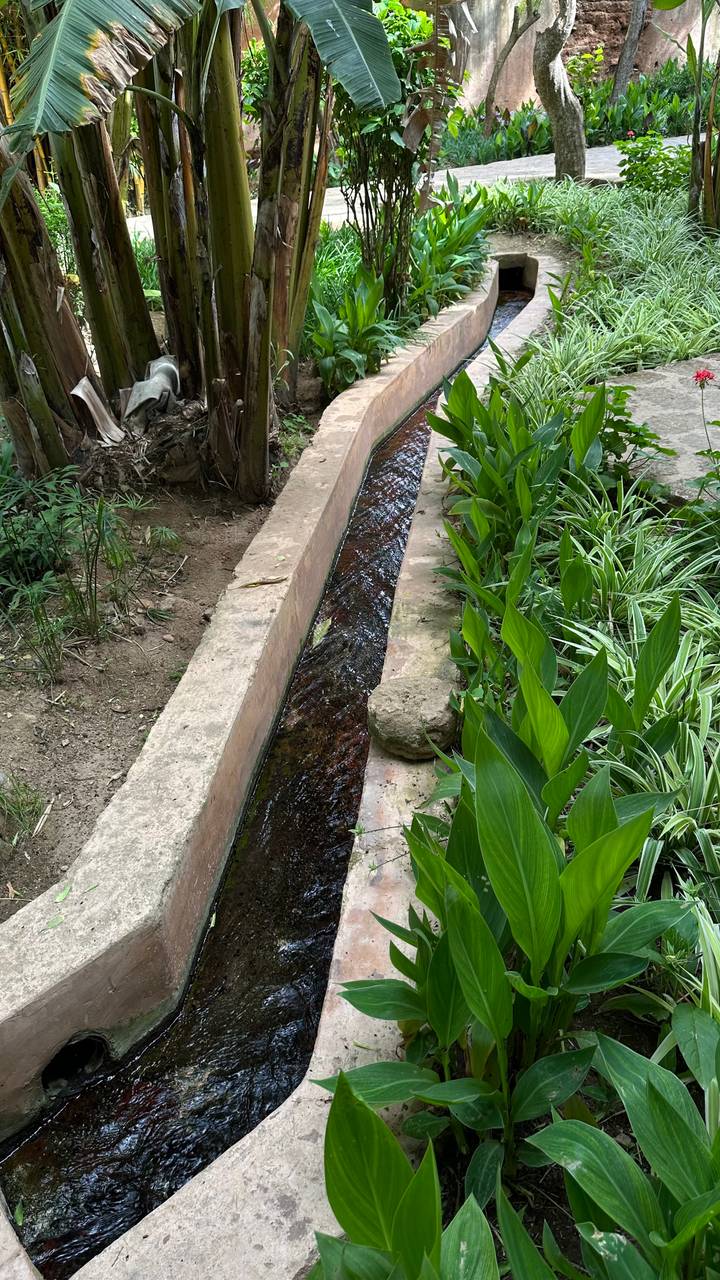 Narrow concrete irrigation channel carrying water through green garden plants
