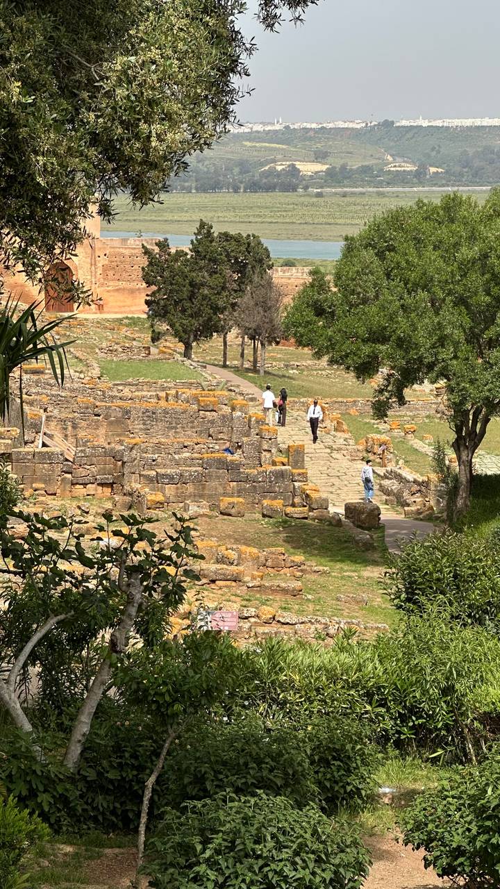 Visitors walk along lichen-covered stone ruins and paths in green landscape