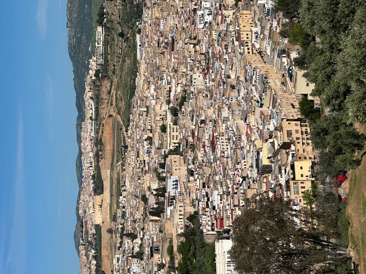 Expansive view over tightly packed historic buildings of Fes from hillside