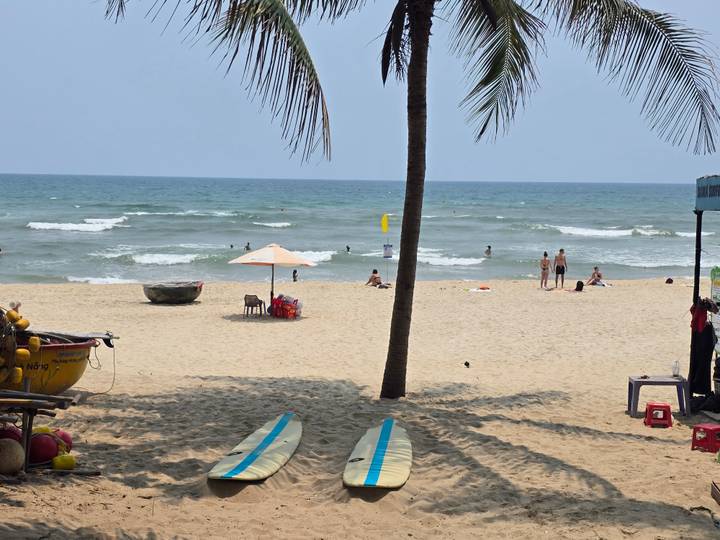 Beachgoers swim and surf on a sandy shoreline while boards and palm trees rest in the foreground.