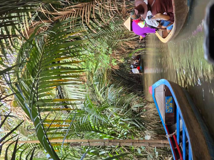 Tourists paddle through a narrow waterway lined with dense nipa palms in small wooden boats.