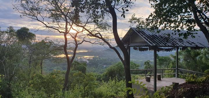 Sunrise view through trees over misty valley and river from simple hilltop shelter.