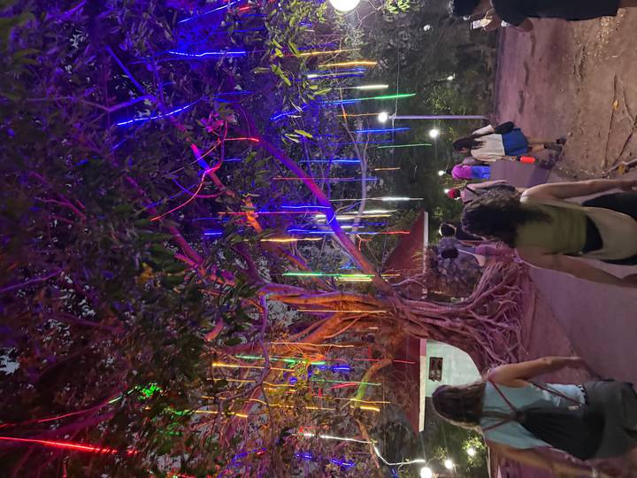 Visitors walking under a giant tree lit by colourful ribbon lights at night.