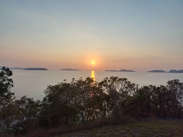Glowing orange sun setting over calm sea beyond tree silhouettes.