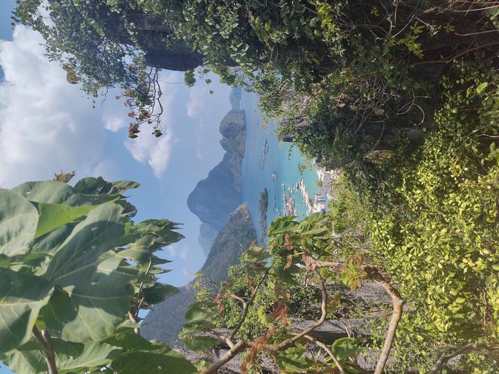 Lush foliage frames a panoramic view of turquoise bay, boats and dramatic limestone peaks under blue sky.