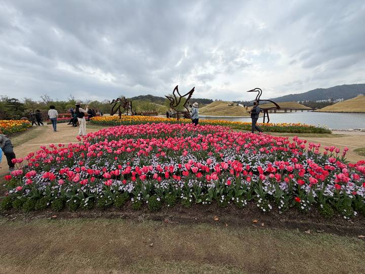 Vast tulip garden with visitors photographing colourful flower beds by rolling hills.