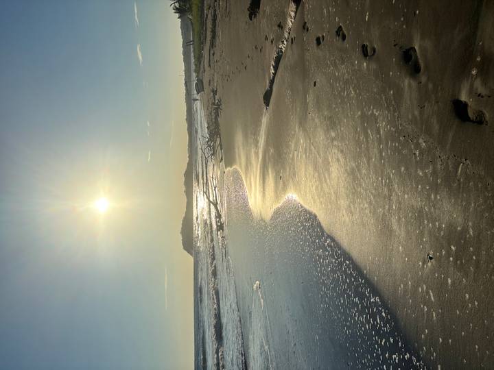 Low sun over a quiet sandy beach with gentle surf and driftwood, casting long reflections on wet sand.