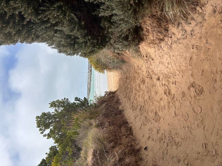 Sandy footpath framed by coastal shrubs leading to a quiet beach and turquoise bay with yachts