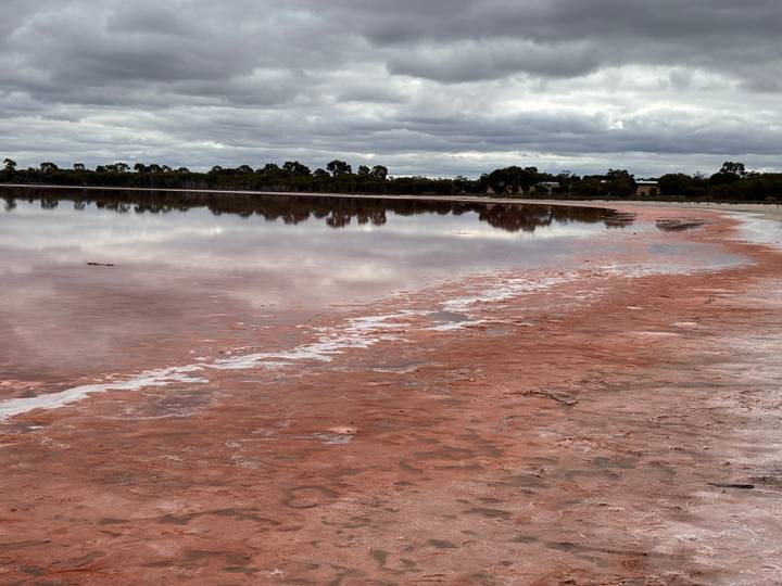 Pink salt lake under heavy clouds with a shoreline of rust-coloured sand