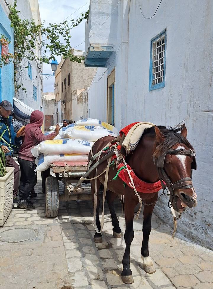Horse-drawn cart laden with large sacks navigates a narrow whitewashed alley.