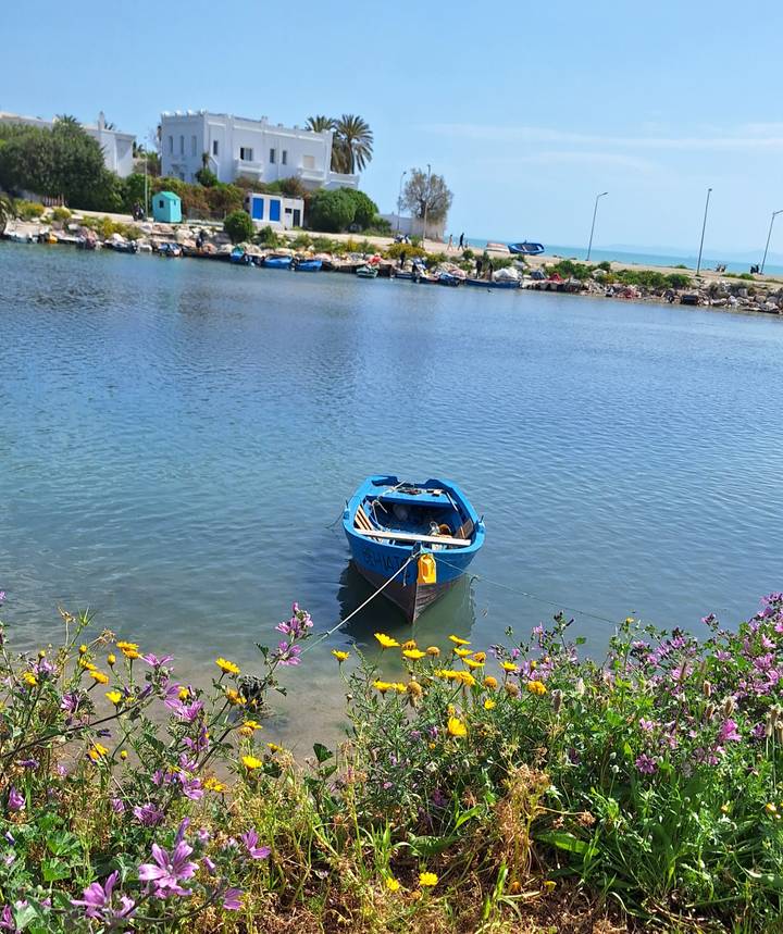 Single blue wooden boat moored on calm lake water framed by wildflowers.